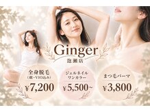 ジンジャー(Ginger)