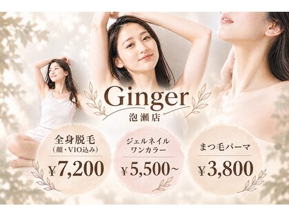 ジンジャー(Ginger)の写真