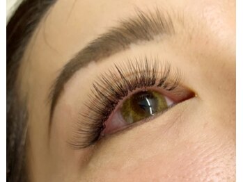 アイラッシュ ベイビーステップ(Eyelash Baby step)/【ハンドボリュームラッシュ】