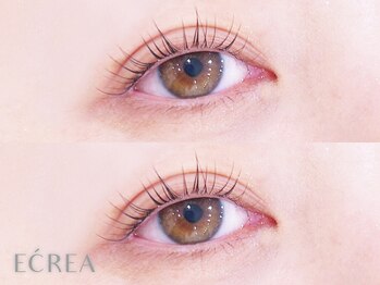 エクレア 川越店(E‘CREA)の写真/[川越/韓国アイドル風束感まつ毛パーマ］【デザイン力に感動】魅力たっぷりダメージレスパーマ★