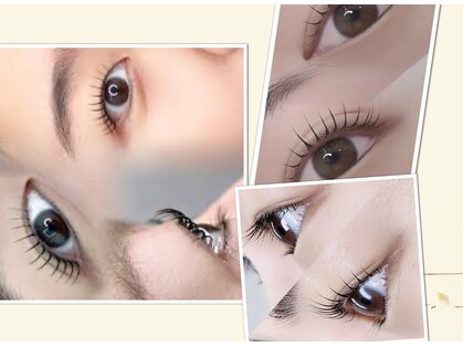 ミシャ(Micia)の写真