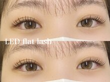 プラス サード(Plus 3rd)/LED flat lash