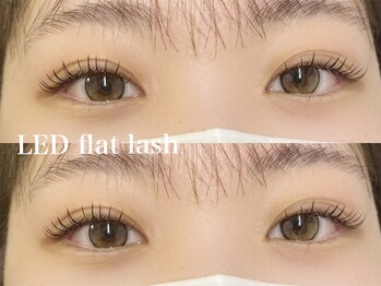 プラス サード(Plus 3rd)/LED flat lash