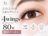 【LED・ケア込み】広がりと密度を楽しむ4wings80束