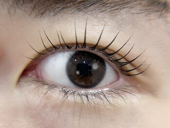 リュクス(Le LUXE)/長さ強調デザイン