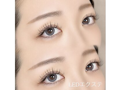 アルディート(Ardito)の写真