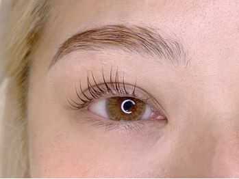 ヴィフ(Vif)/ハリウッド×パリジェンヌ