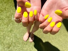 クレー(Klee)/美ワンカラー