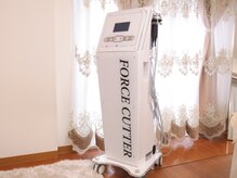 ラナンスパ(RANUN SPA)/大人気マシン：フォースカッター