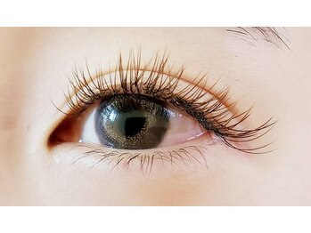 キャンメイ(Can Mei)/フラットラッシュダークブラウン