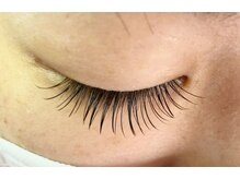 ペルシャ(Persian)/お客様様デザイン（担当:宮井）