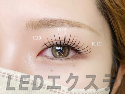 アンク(ank)の写真