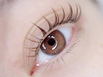 まつげ専門店 チャンティ(Chantii)/