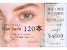 10月限定！フラットラッシュ120本　￥4600 カール・長さ選択可（オフ代込み）