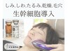 【フェイシャル】生幹細胞美顔器導入×大人の美肌メンテナンス