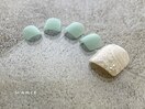 定額￥6600 ミモザ 0604e
