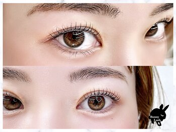 バニーラッシュ(Bunny Lash)/【まつげパーマ】