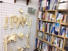 I.S.E.深部組織 筋膜リリースセンター/常に知識と技術を磨けるように☆