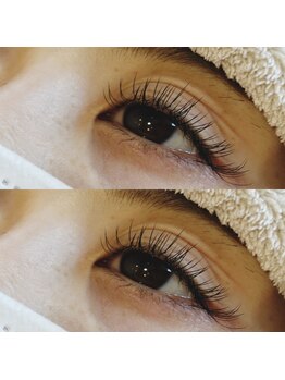 トータルビューティールナ(Luna)/フラットラッシュ140本