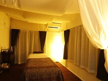 ジプソフィラ(Gypsophila)