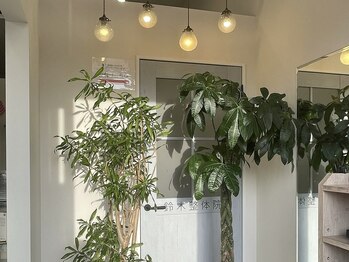 鈴木接骨院 青葉区小松島院/観葉植物がお迎えします♪