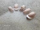 定額￥7700 ミモザ 0604e