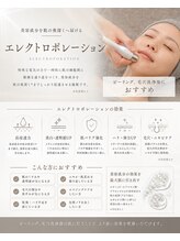 アイリス(AiRiS)/◎エレクトロポレーションとは