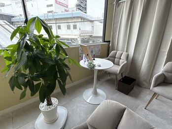 さとう美容整体 町田店/植物が癒しポイント