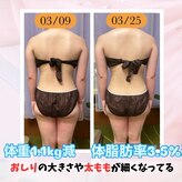 ヨサパーク 菜暖(YOSA PARK)