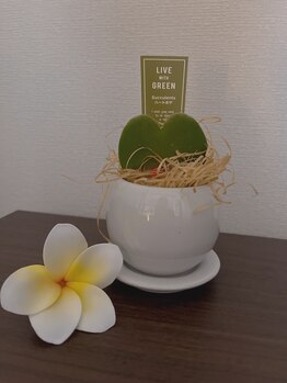 ティエールリユ/気軽になんでもご相談ください◎