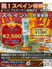 【W.C.応援企画】スペイン優勝予想で最安値¥2500★30分照射