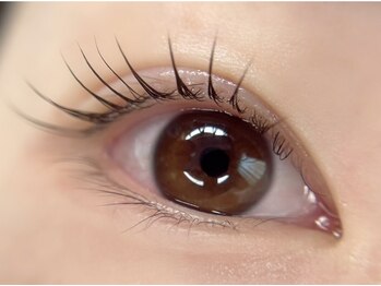 ルピナス(salon de Lupinus)の写真/【NEWOPEN!】完全個室でリラックスしたひと時お過ごしください♪OPEN記念価格でお得にキレイに!