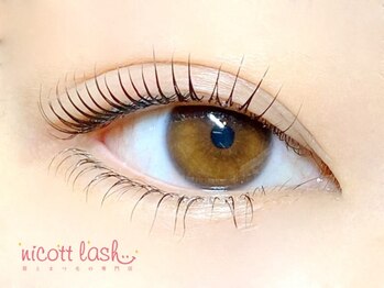 ニコット 大阪駅前第2ビル店(nicott lash)の写真/【美眉アイブロウ¥3300/まつげパーマ+アイブロウ¥6050】目元のトータルケアならセットクーポンがおすすめ☆