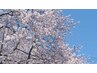 春の新生活応援キャンペーン回数券３万円　４月中のご来店&ご購入