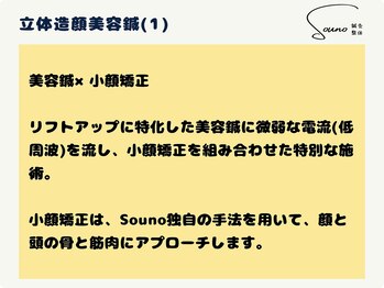 ソウノ 御茶ノ水(Souno)/立体造顔美容鍼(1)