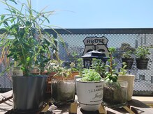 整体サロン イチ(ICHI)/たくさんの植物でお出迎え