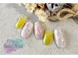 限定】春のキャンペーンデザイン