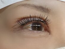 フリー#240(Free#240)/ダブルフラット200本