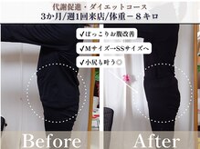 ヨサパーク ヴィオレット(YOSA PARK VIOLET)/2ヶ月