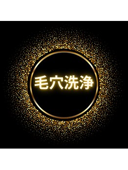 ルミネル 名古屋新栄(Luminelle)/毛穴洗浄