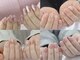 ケヤキ(KEYAKI)の写真