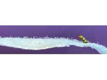 リバイブ(REVIVE)/マリムーブ★フェイシャルWax