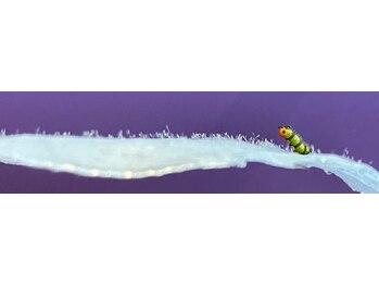 リバイブ(REVIVE)/マリムーブ★フェイシャルWax