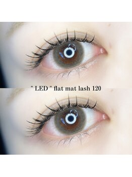 フォーヴリュンヌ(FOVLUNE)/フラットマットラッシュ