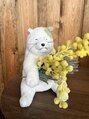 グットリラ/そらもと