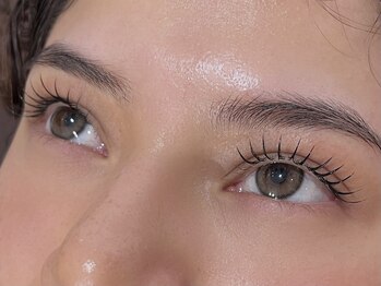 ネストアイ(NEST eye)/Flatlash 120