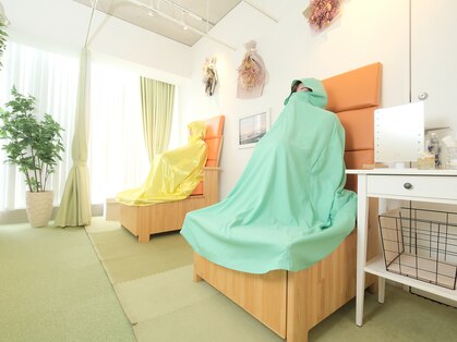 ツバキ(TUBAKI)の写真