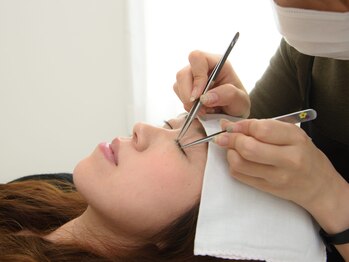 ルピナス(Lupinus)/保健所認定サロン