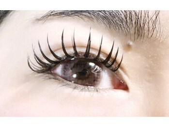 マカナニ(MAKANANI)