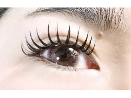 マカナニ(MAKANANI)の写真